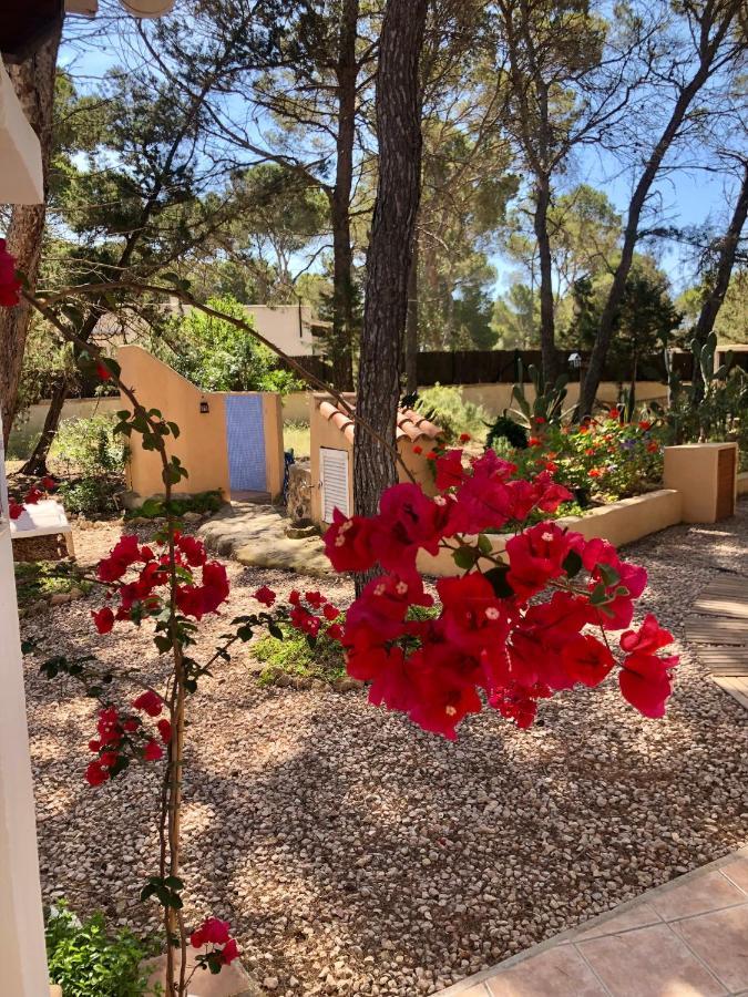 Apartamento Sa Ginebra, Cala Saona Extérieur photo