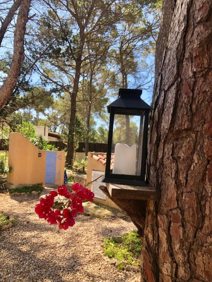 Apartamento Sa Ginebra, Cala Saona Extérieur photo